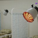 무진대로232번길 | [광주광역시 요양원 요양병원 추천] 늘기쁨요양원 편안한 환경과 우수한 시설