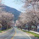 주식회사 결엔터테인먼트 이미지