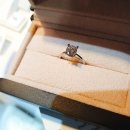 카페나비드 이미지