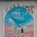 레이센(주) | 2025년 10월 후쿠오카 여행 (1부- 우미노나카미치 코스모스, 옥토버 페스트 2025)