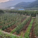 석골농장 이미지