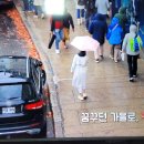 세계테마기행 꿈꾸던 가을로 캐나다 동부 다시올 이유 단풍국 1. 퀘벡 아이스와인 이미지