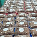 인천효성중학교 이미지