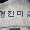 명진계란 이미지