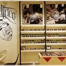 세컨페이스 (아주점) 이미지