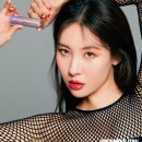 퍼펙트샤인 이미지