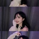 서진금박