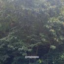 부주로 312 이미지