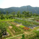 하늘내린농장 이미지