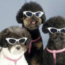 준오헤어 강남우성점 이미지