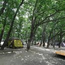 계림정야영장 이미지