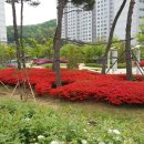 다정행정사사무소 이미지