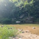 희주네민박 이미지