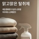 숲속맑은꼴 | 온다숲 맑고맑은 스프레이 500ml 솔직 후기. 집 냄새 제거