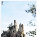 매화산 등산로(정상)