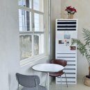 디어터틀(dear turtle) 이미지