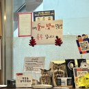 광화문 맛집 :: 스파게티가있는풍경 스파게티...모듬 치즈 피자 내돈내산 솔직 후기(주차,주말 웨이팅)