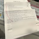 티웨이항공 애견동반 탑승 후기 (강아지랑 제주도 여행)