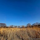 핫도그 | 양평 두물머리 가족 나들이와 연핫도그 후기