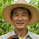 대성유통과일 - 김포시 태장로 820-26 | 대성유통과일