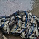 송라낚시터 이미지