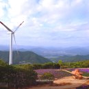 거창 항노화 힐링랜드 이미지