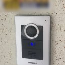 그린비디오 이미지