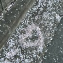 33떡볶이춘천거두점 | [봄이왔나봄봄봄] 이븐하고 삼삼하게 사생활 공개합니다 | 오늘 하루 단독공개