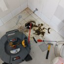 성현동-24 이미지