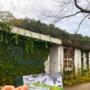 [여행/당진] 폐교 실내 전시회 아미미술관(Ami Art Museum) 후기