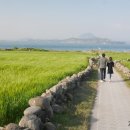 사시사철-풍요 이미지