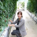 보령시농업기술센터 이미지