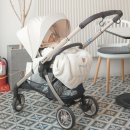 단델리온 | 오토폴딩 절충형 유모차 ABC디자인 태그 단델리온 외출 후기