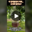 일품양평해장국 감곡점 이미지