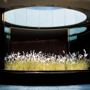 스마트폰으로 인생 샷 찍기(스마트폰 사진 기술) 이미지