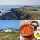 고성리-11 | 제주도 섭지코지 맛집 제주 갈치조림 진미식당
