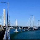 메디팜하늘약국 이미지