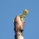 봉오리농장 이미지