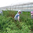 김성수농장 이미지