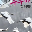 철원전통장류 이미지