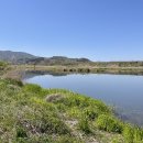 청도천9 이미지