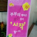 가델 이미지