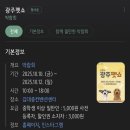 모리모바일 - 양천구 목동동로12길 53 | 2025 광주 펫쇼 첫방문 모리랑 다녀온 후기 - 김대중컨벤션센터