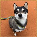 아이조아요양보호소 전남광주점 이미지