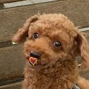 토담스펫 이미지