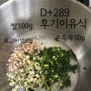289 | 📌 D+289 후기이유식 3종 세트🍚 | 순두부·아보카도·닭고기 조합