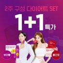푸드올로지 2주 구성 다이어트 SET 찐 내돈내산 솔직 후기 (1~4일차 보라통 톡스올로지 클렌즈 비움 PRO)