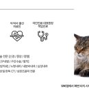리움동물의료센터 이미지