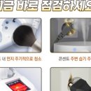 김숙자축사 이미지