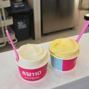 하늘빛 투 | 강아지와 떠난 겨울 강릉바다 여행｜강문·안목·경포대 애견동반 코스 (+ 안목해변 크리스마스 마켓)